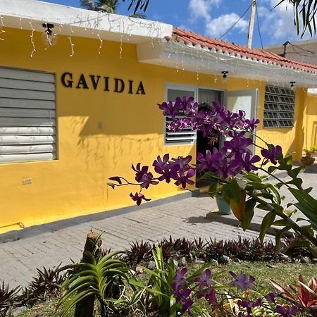 Gavidias Guest House San Lorenzo Buitenkant foto