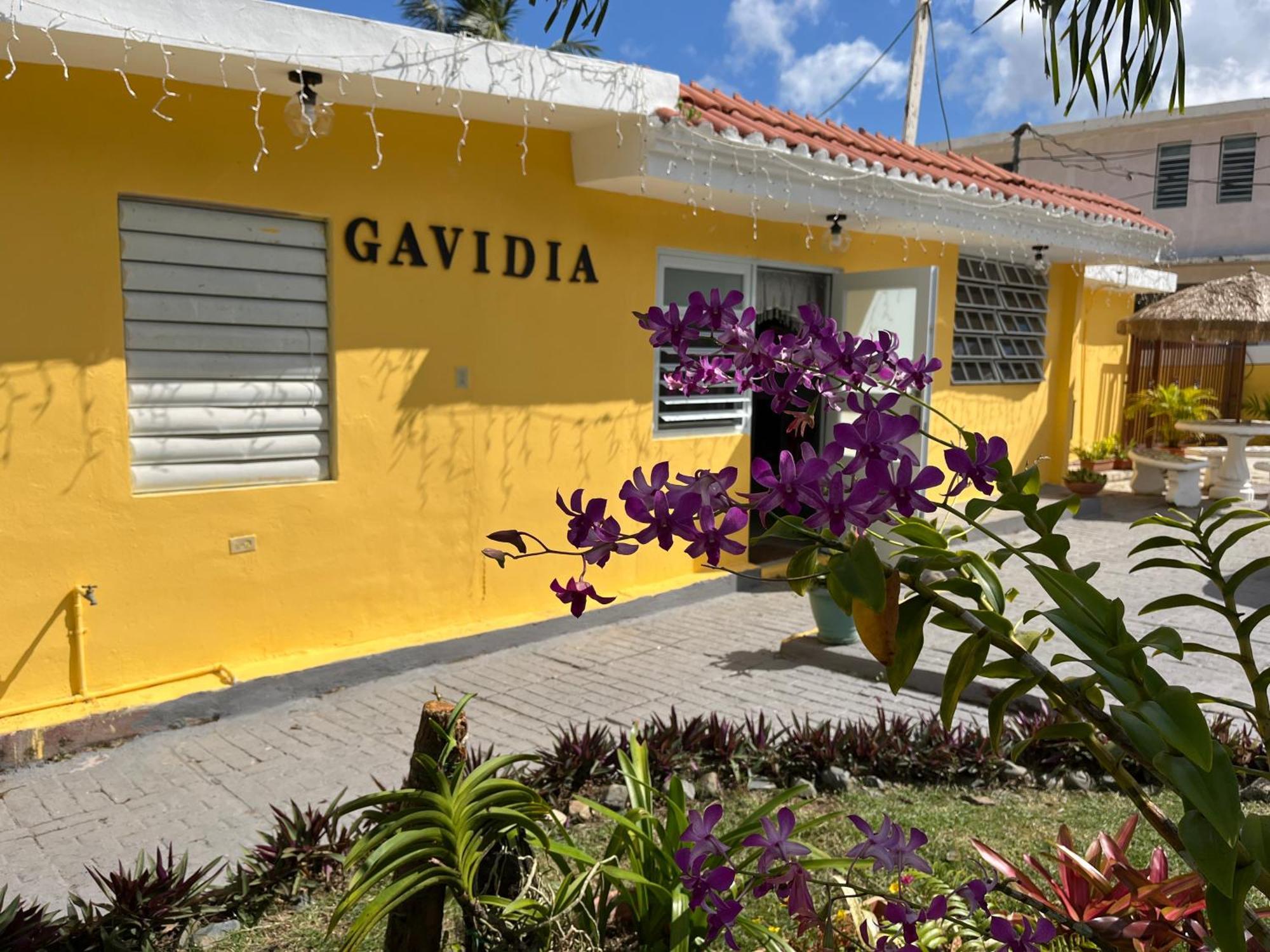 Gavidias Guest House San Lorenzo Buitenkant foto